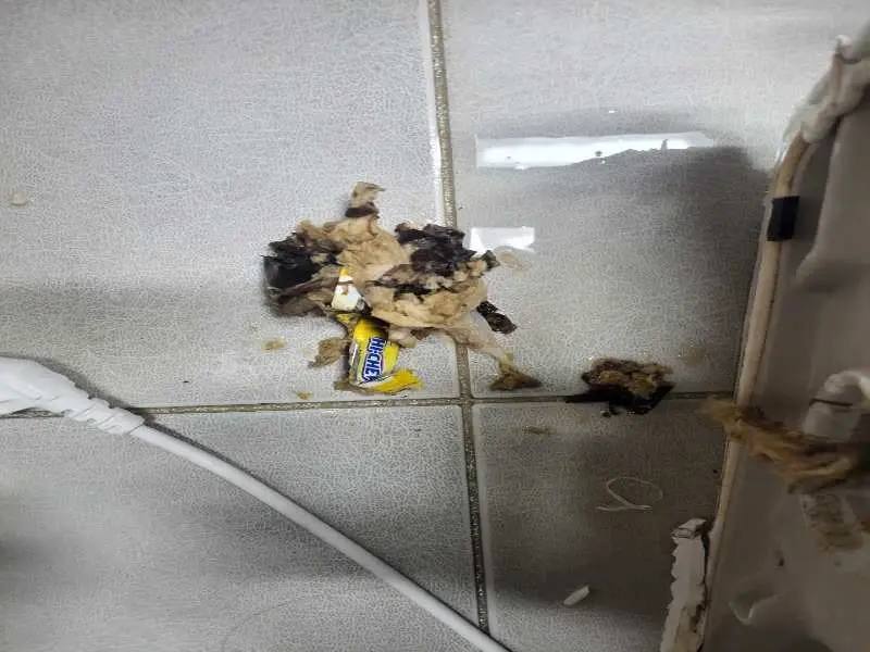 광명 배관 이물질 제거 사례 6